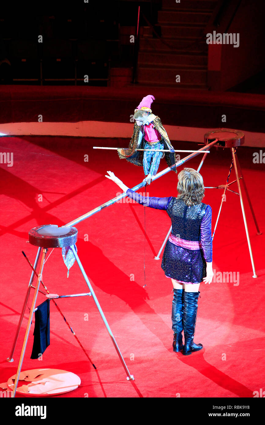 Singe formés marche sur corde avec poutre en cirque. Singe amusant dans la Scène de cirque avec tamer Comel Banque D'Images