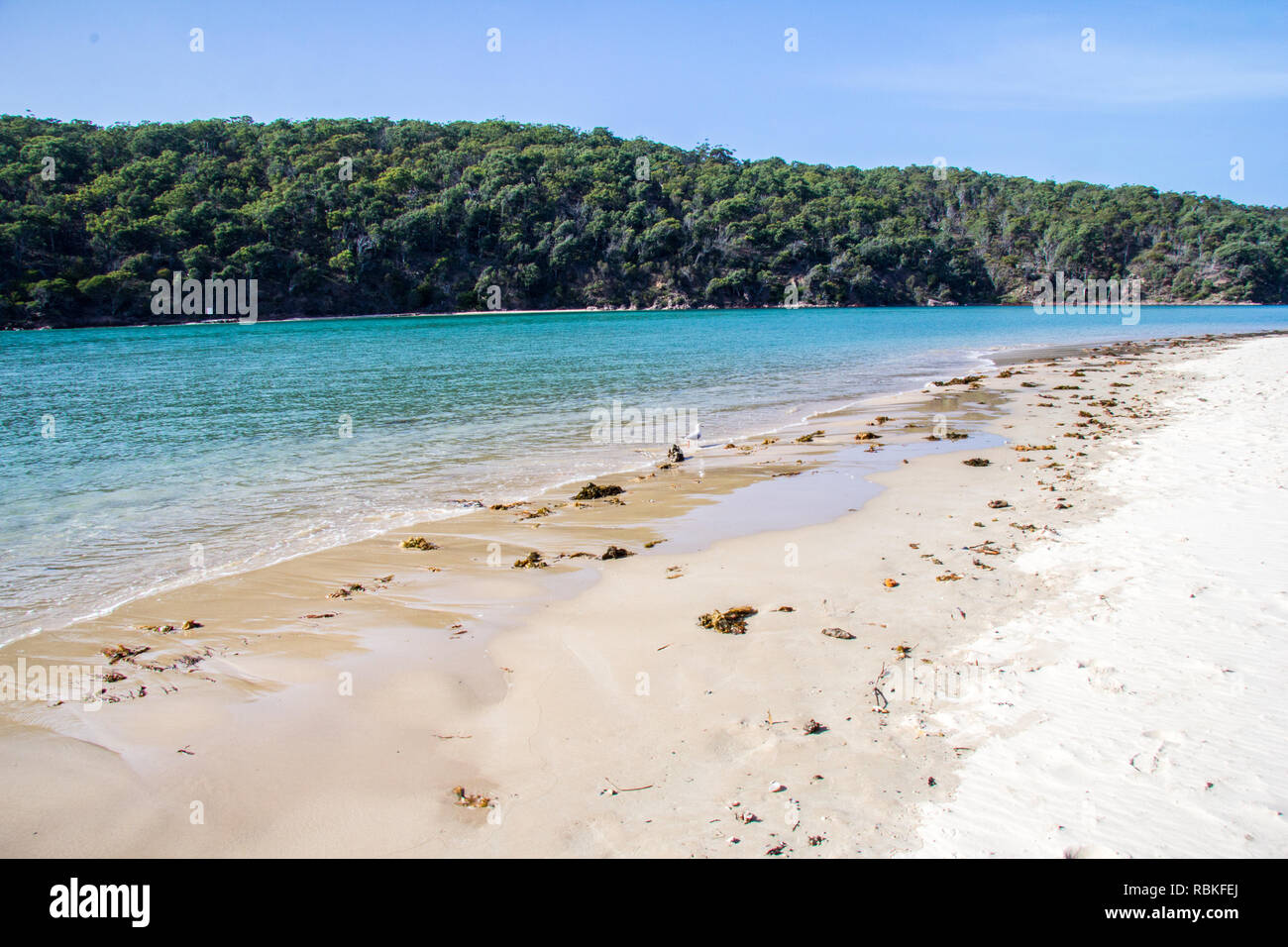 Pambula Beach à l'estuaire de la rivière, New South Wales, Australie Banque D'Images