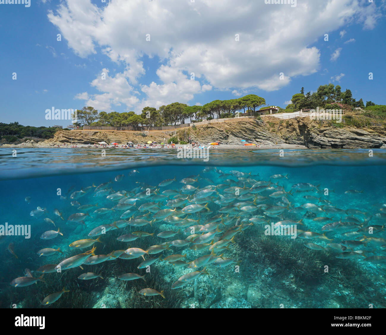 Espagne plages avec un banc de poissons sous l'eau, Llanca sur la Costa Brava, split voir la moitié de la sur et sous l'eau, mer Méditerranée, Catalogne Banque D'Images