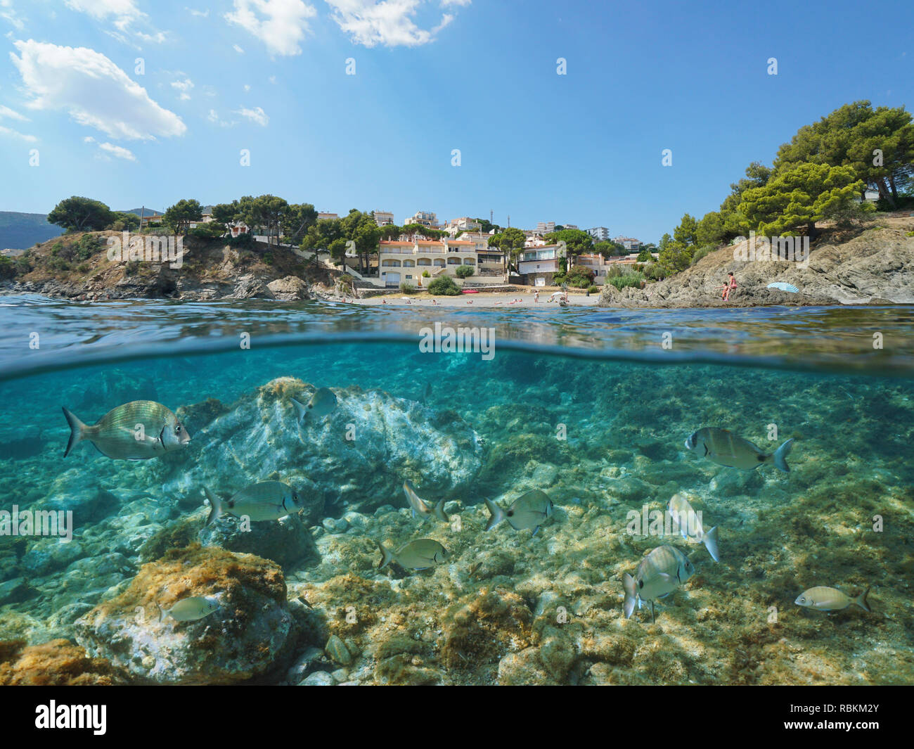 Espagne littoral avec des Dorades de mer poisson sous l'eau, Llanca sur la Costa Brava, split voir la moitié de la sur et sous l'eau, mer Méditerranée, Catalogne Banque D'Images