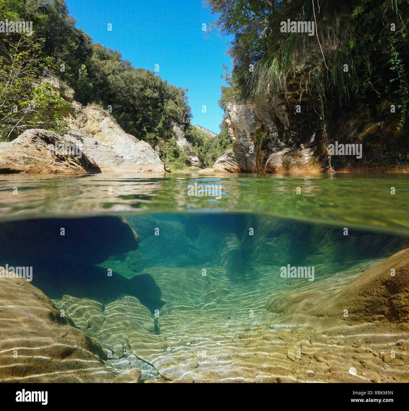 Fleuve sauvage sur et sous la surface de l'eau avec des pierres et de la végétation, de la Muga, Catalogne, Espagne Banque D'Images