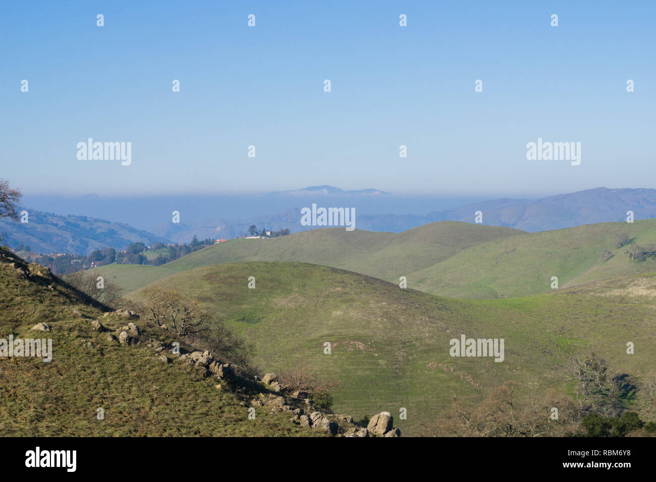 Rolling Green Hills et Mount Diablo dans l'arrière-plan, Sierra Vista, préserver l'espace ouvert au sud de la baie de San Francisco, Californie Banque D'Images