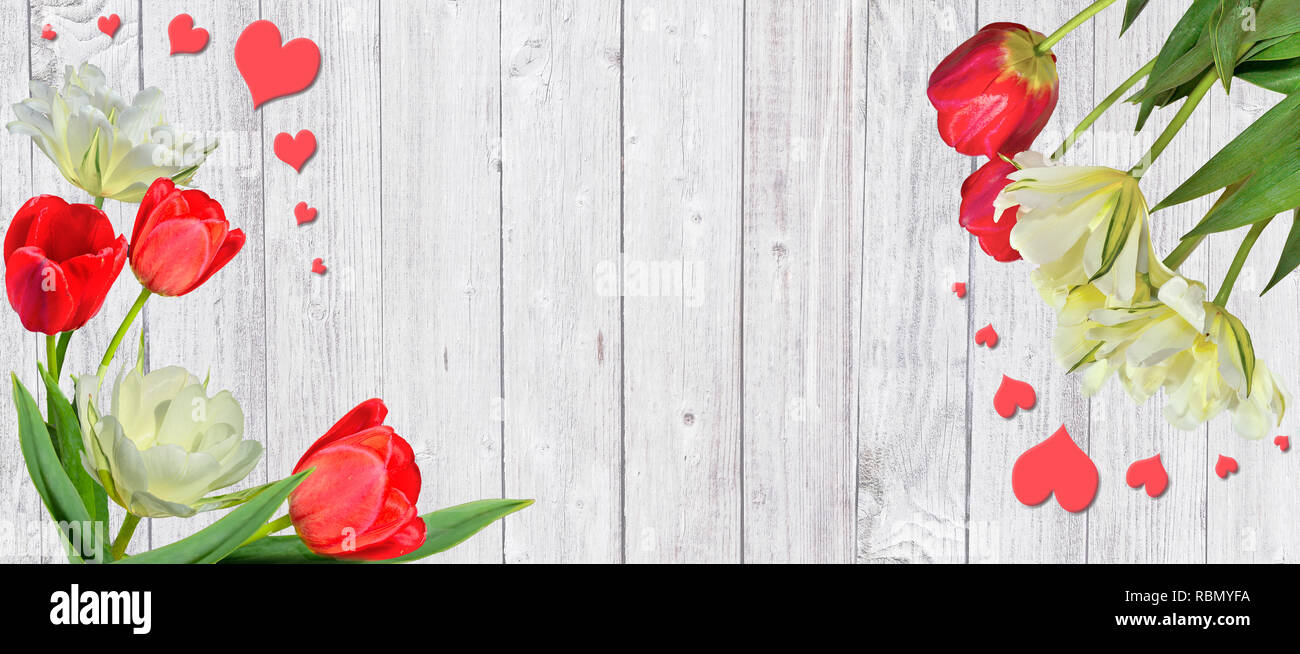 Beau printemps cadre avec le rouge et jaune bouquet de tulipes blanches-close up, sur un fond en bois blanc et le cœur avec l'espace pour le texte. Gree festive Banque D'Images
