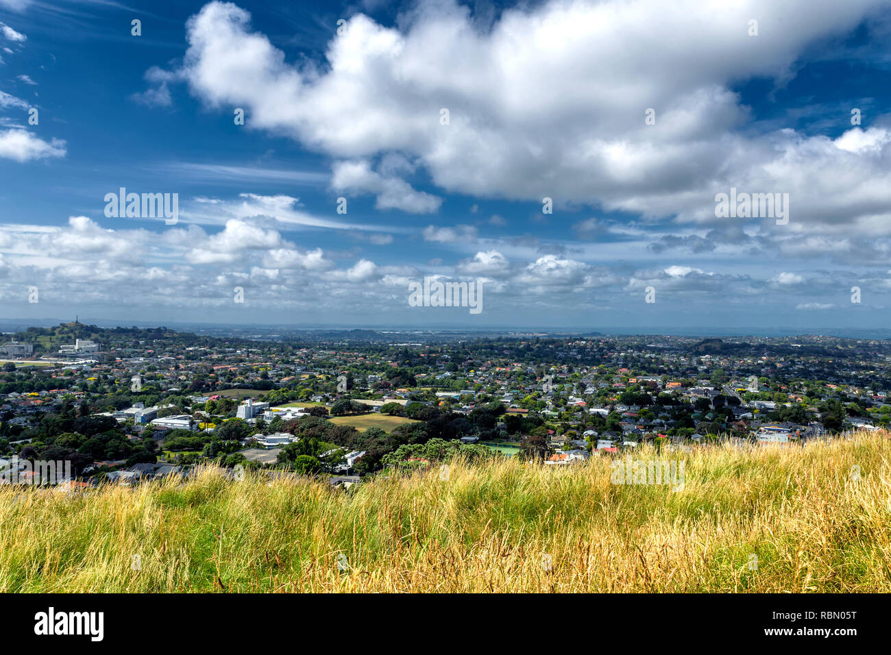 Banlieues d'Auckland vue depuis le mont Eden Banque D'Images