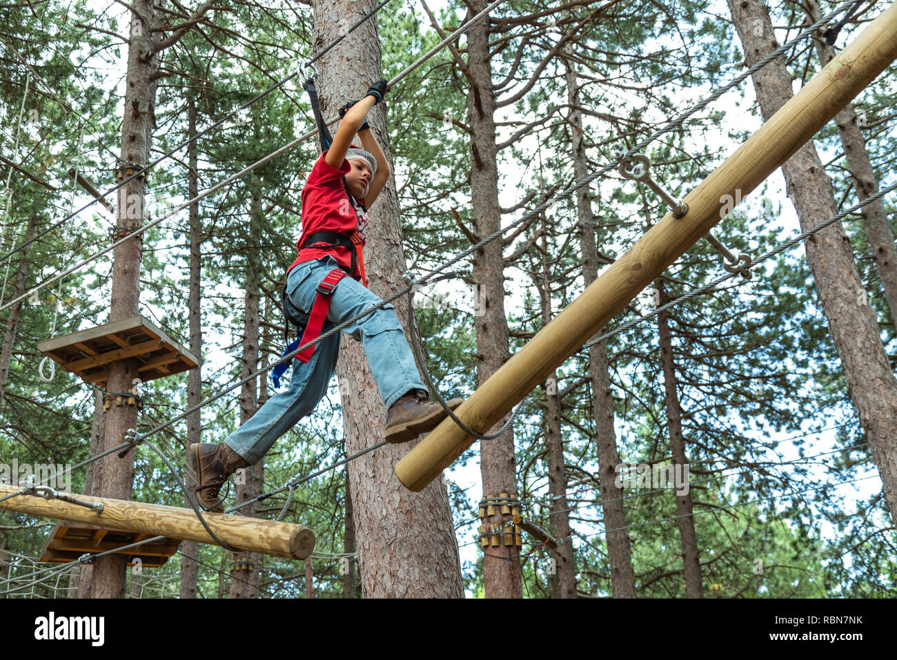 Garçon avec des harnais de sécurité en escalade parc aventure dans la forêt de pins. Guardiagrele, .Abruzzo, Italie Banque D'Images