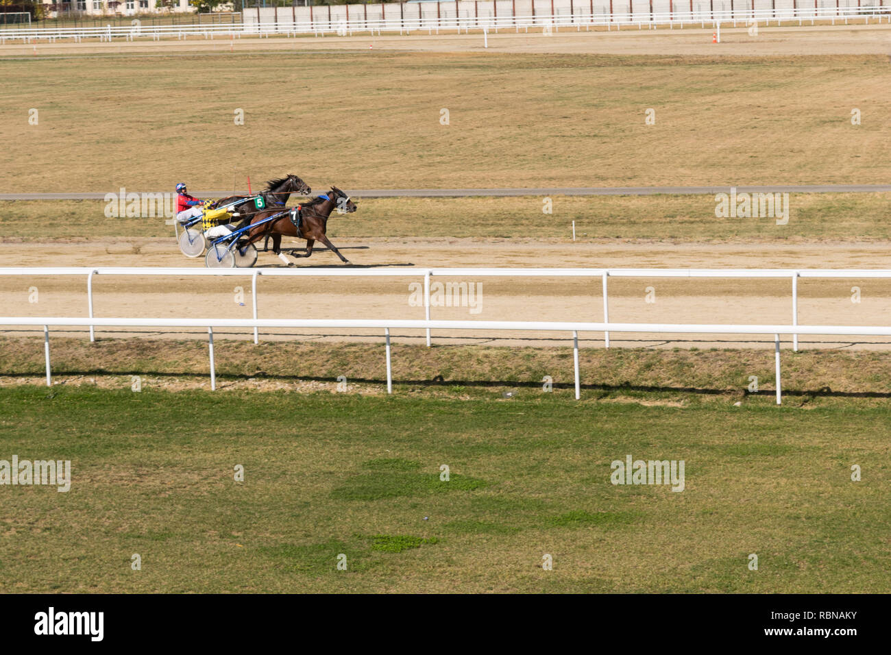 Ploiesti, Roumanie - 07 octobre 2018 : une course de chevaux au trot sur l'Hippodrome en tenue Ploiesti Prahova, Roumanie. Banque D'Images