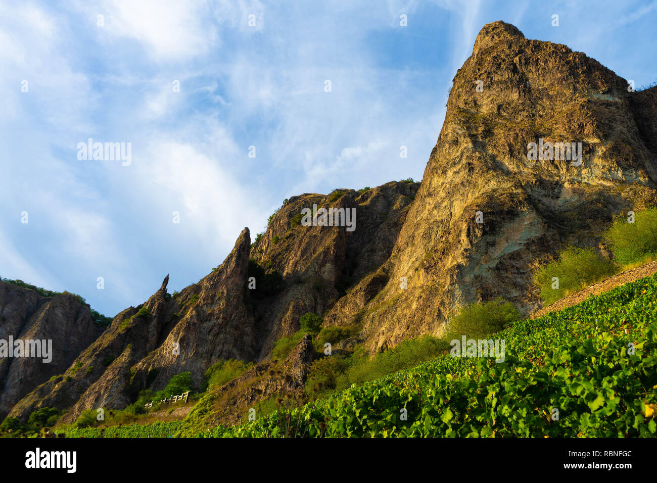 Vignes sur le massif de montagne Rotenfels Bad Münster am Stein-Ebernburg près de Bad Kreuznach, Rhénanie-Palatinat, Allemagne Banque D'Images