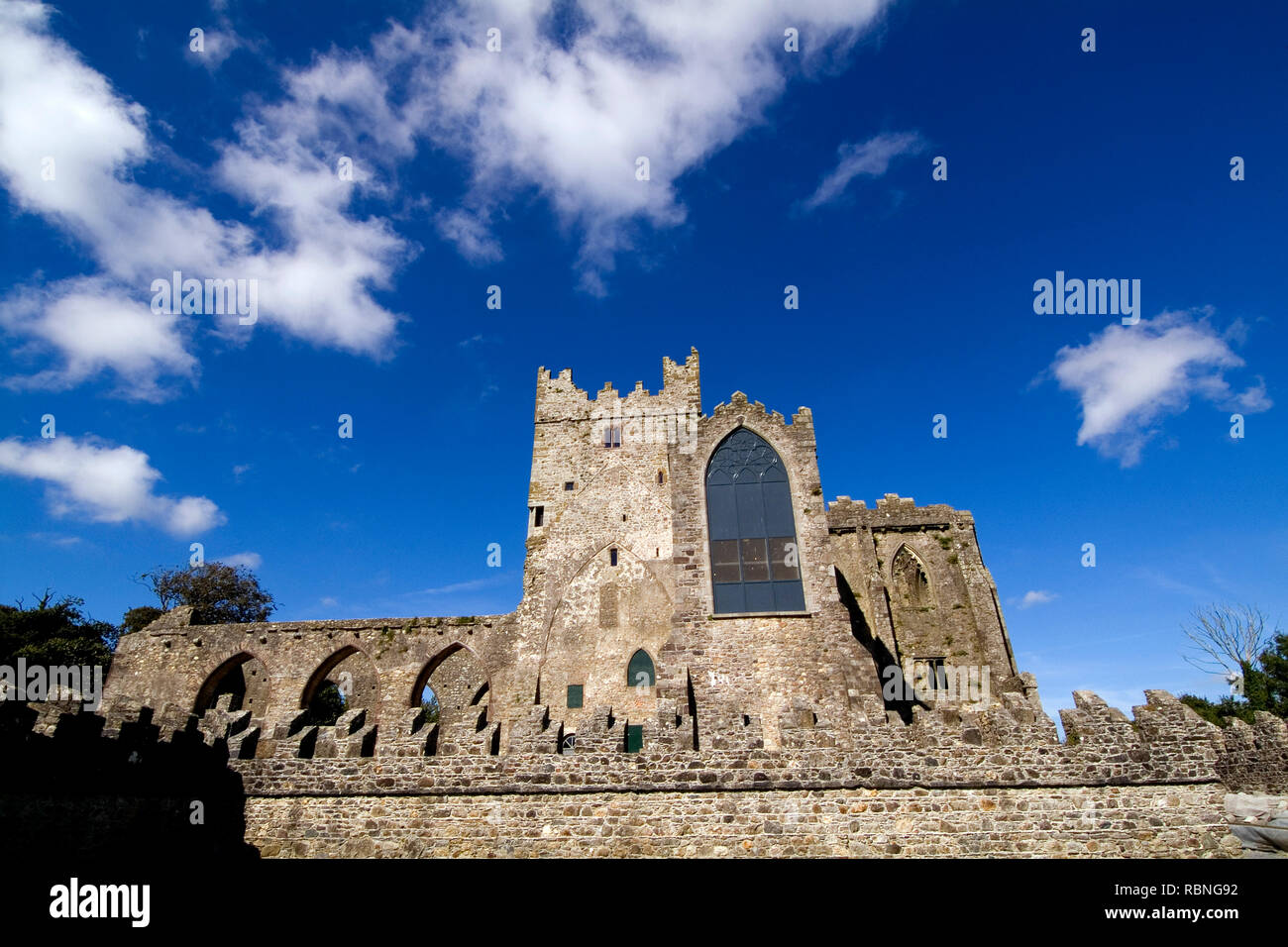 Abbaye de Tintern, Wexford, Irlande Banque D'Images