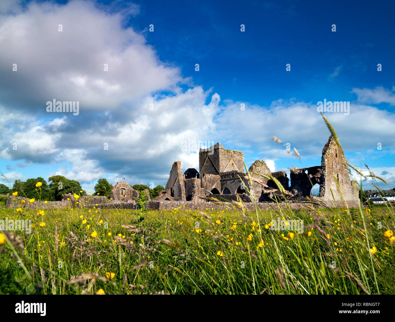 Athassel Abbey, Golden, Cashel, comté de Tipperary, Irlande Banque D'Images