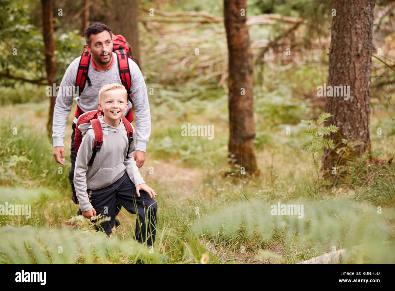Un garçon et son père à admirer la vue lors d'une randonnée dans une forêt, à l'avant, elevated view Banque D'Images