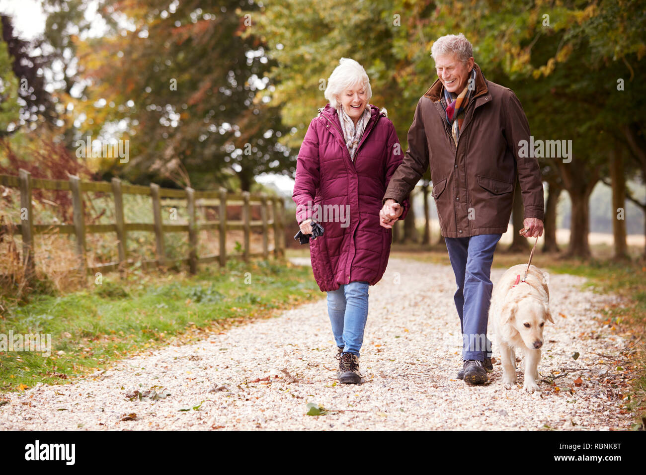 Couple actif sur l'automne à pied avec un chien sur le chemin dans la campagne Banque D'Images