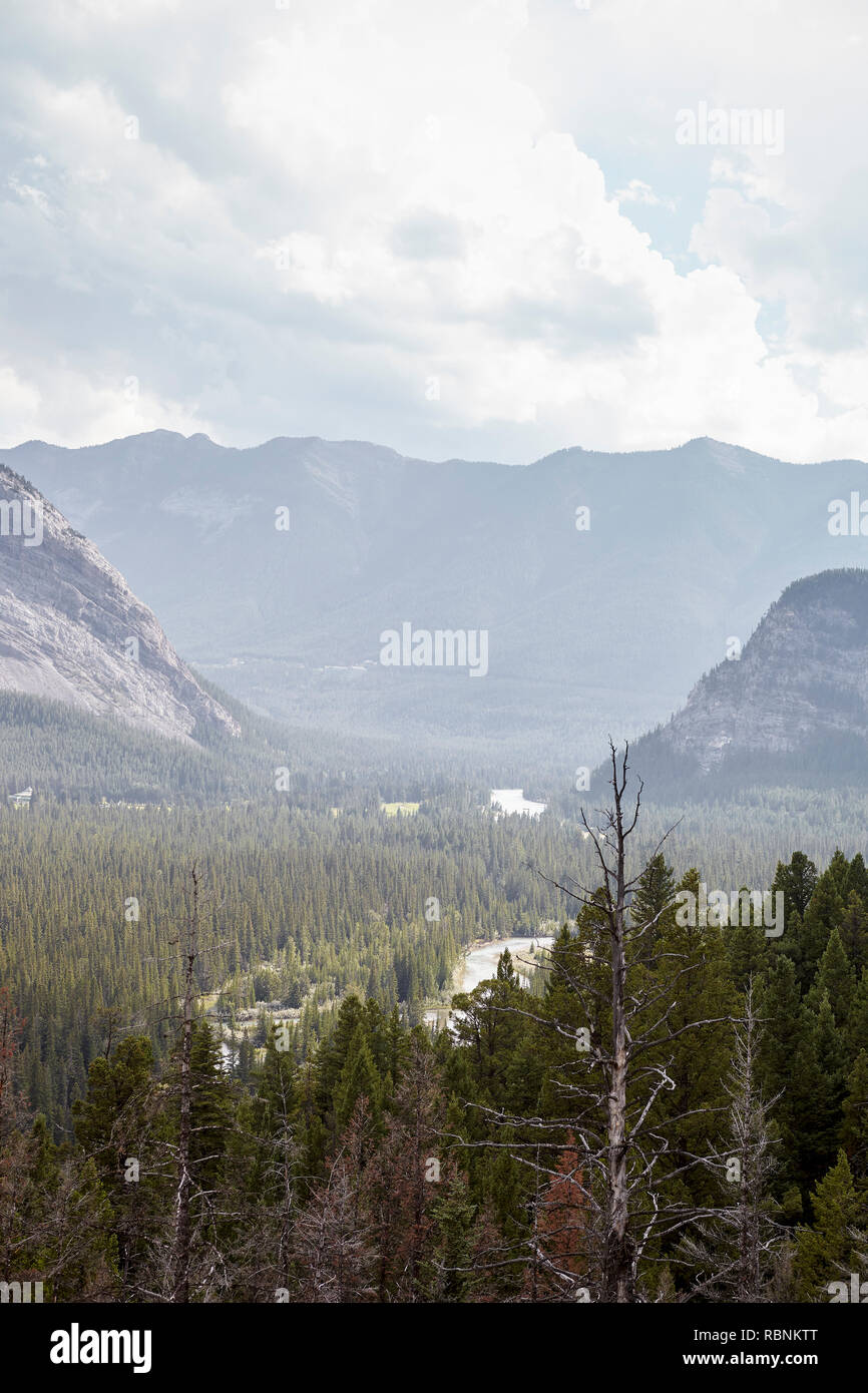 Vue sur Rivière en vallée boisée entre les montagnes en Alaska Banque D'Images