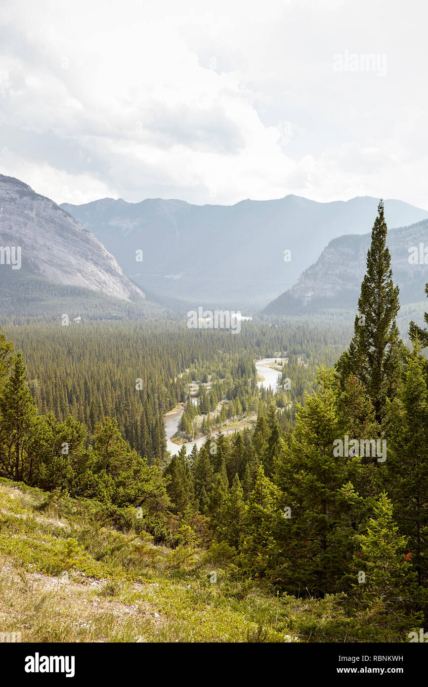 Vue sur Rivière en vallée boisée entre les montagnes en Alaska Banque D'Images