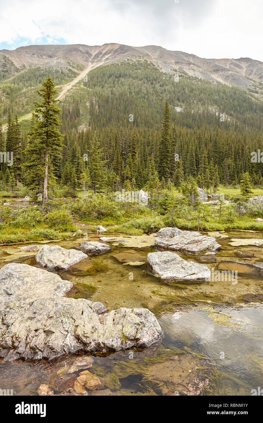 Rivière qui traverse la vallée boisée entre les montagnes en Alaska Banque D'Images