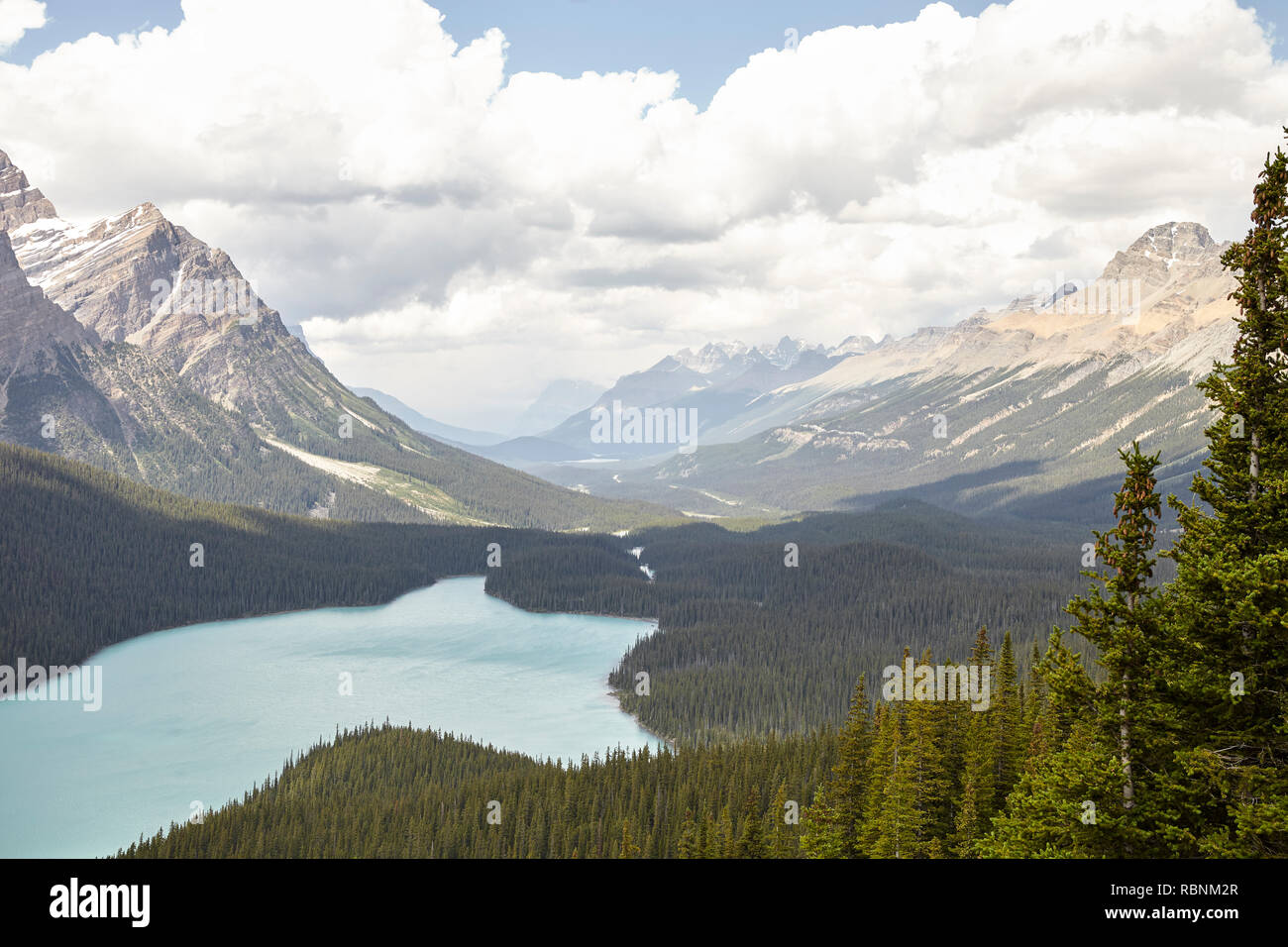 Magnifique Lac en Alaska entourée de montagnes et forêts Banque D'Images