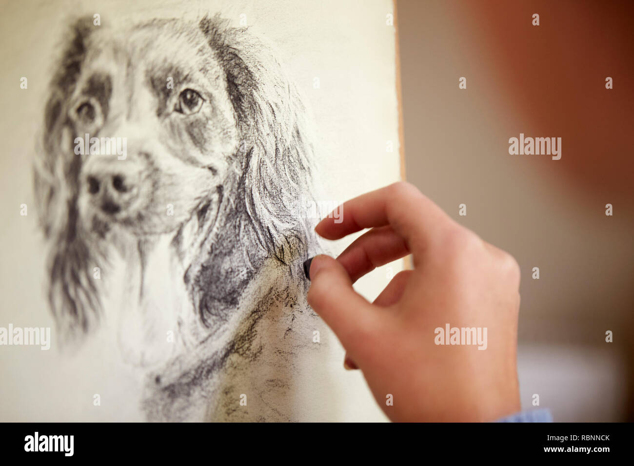 Close Up de l'artiste assis à dessin chevalet photo de chien dans le charbon de bois Banque D'Images