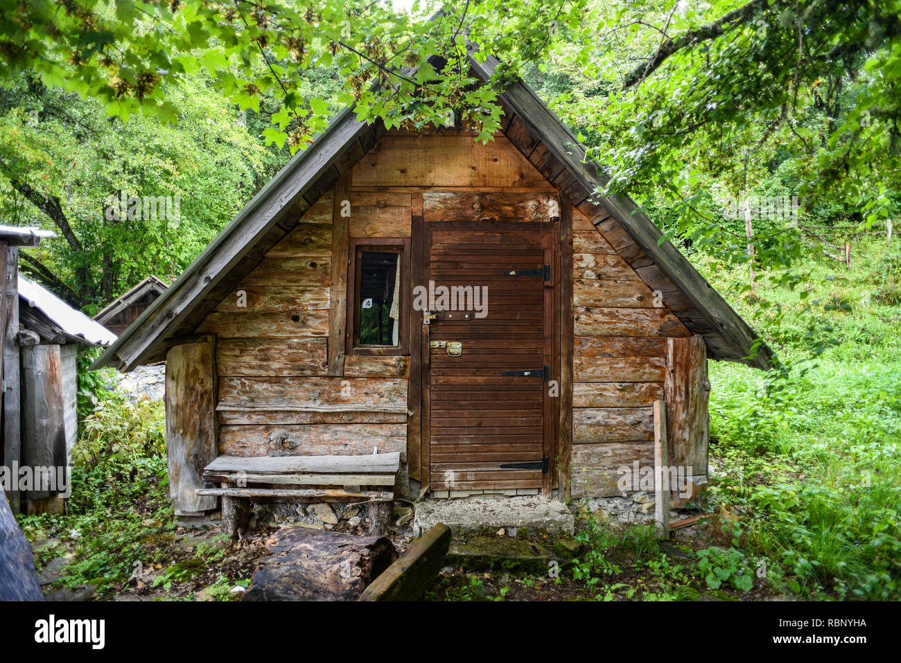 En bois ancienne petite maison abandonnée dans les bois. Banque D'Images