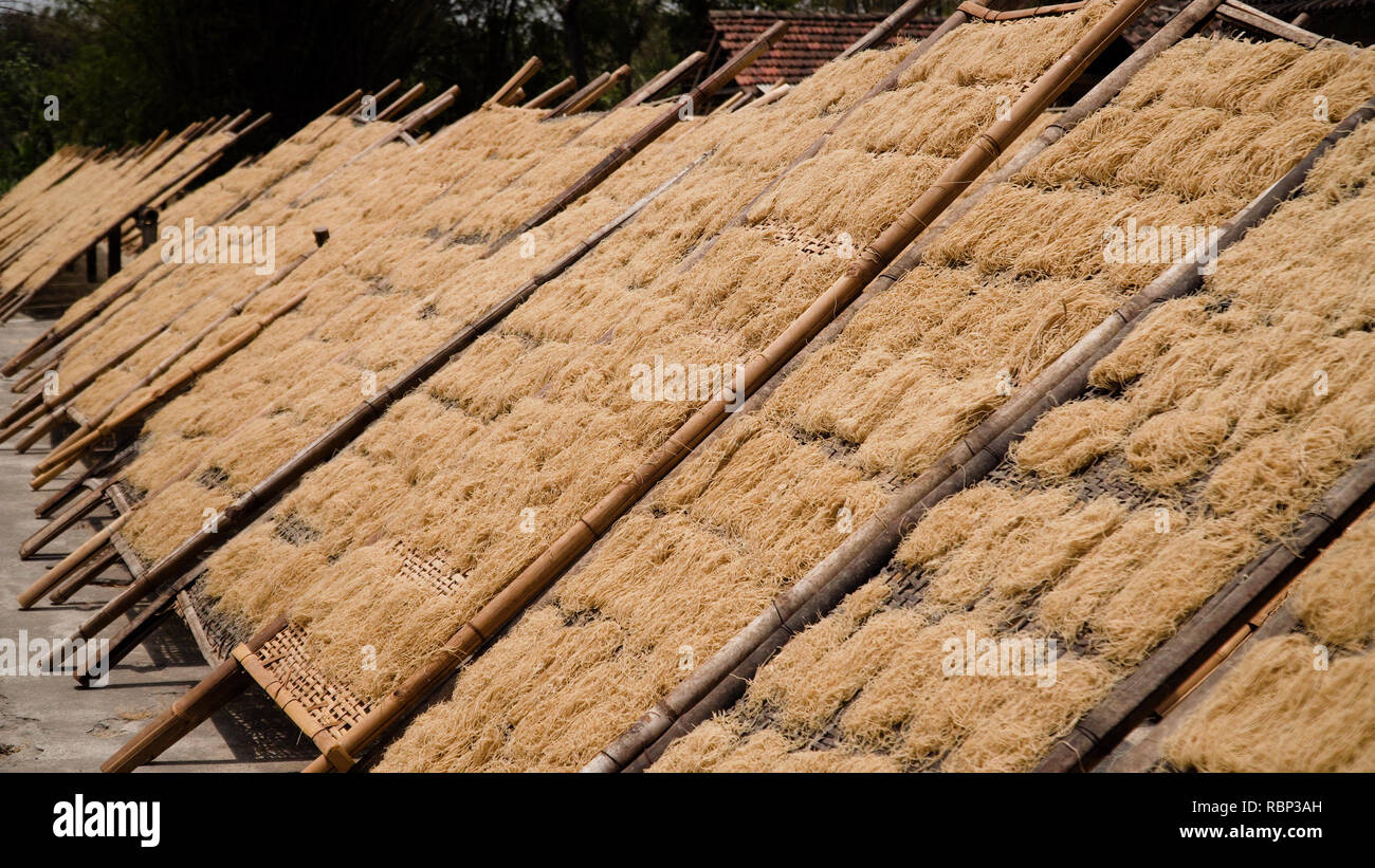 Séchage des nouilles nouilles au soleil en usine en Indonésie Bantul, Yogyakarta, Indonésie Banque D'Images