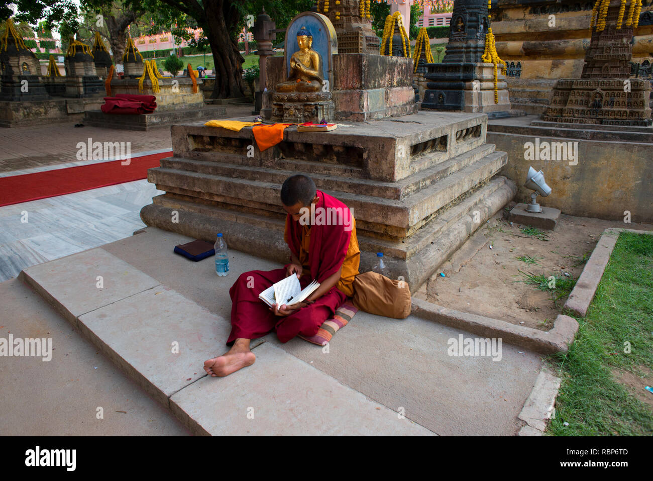 Un moine bouddhiste se lit de texte religieux à Bodh Gya Bouddha Purnima. célébrations durant Banque D'Images