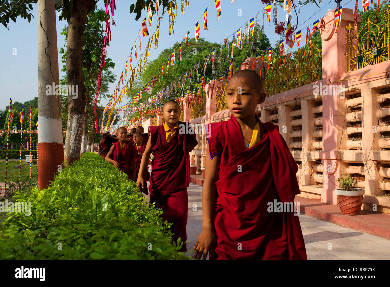 Les moines bouddhistes offrent la prière à Bodh-gaya sur Buddha Purnima célébrations. Banque D'Images