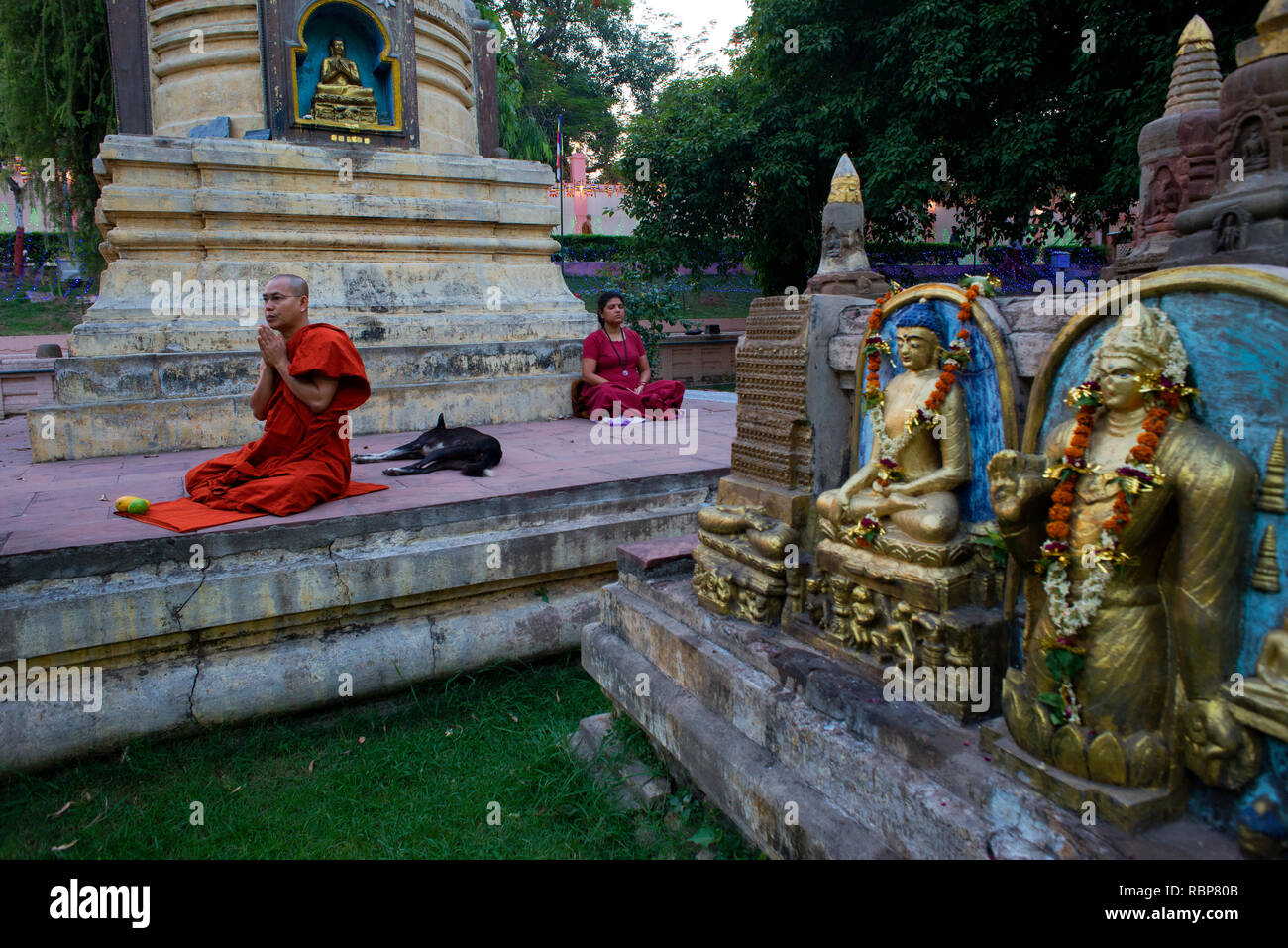 Un moine bouddhiste offre la prière à Bodhgaya Bouddha Purnima. célébrations durant Banque D'Images
