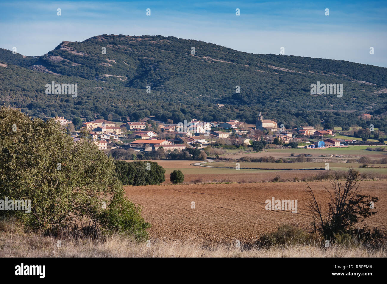 Avis de Hueto Arriba près de Vitoria-Gasteiz, Alava, Pays Basque, Espagne Banque D'Images