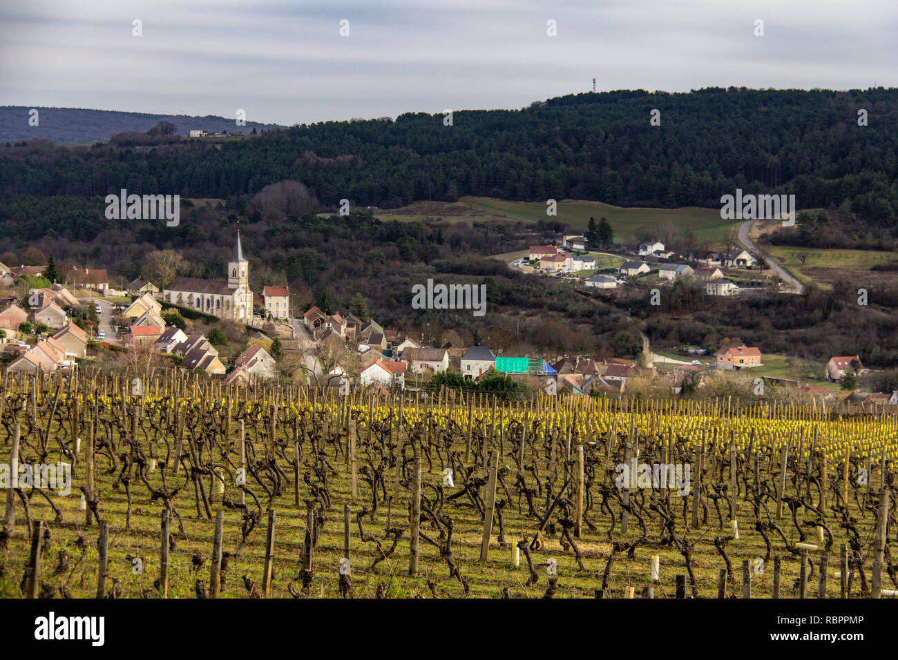 Vue d'un village en Bourgogne, France du les vignobles environnants dans l'hiver Banque D'Images