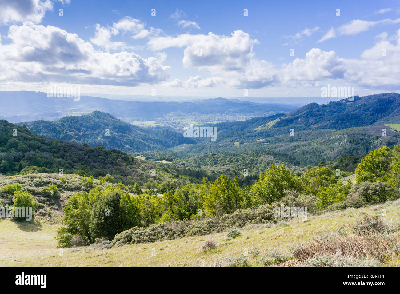 Vue vers la Vallée de Sonoma, l'établissement Sugarloaf Ridge State Park, dans le Comté de Sonoma, en Californie Banque D'Images