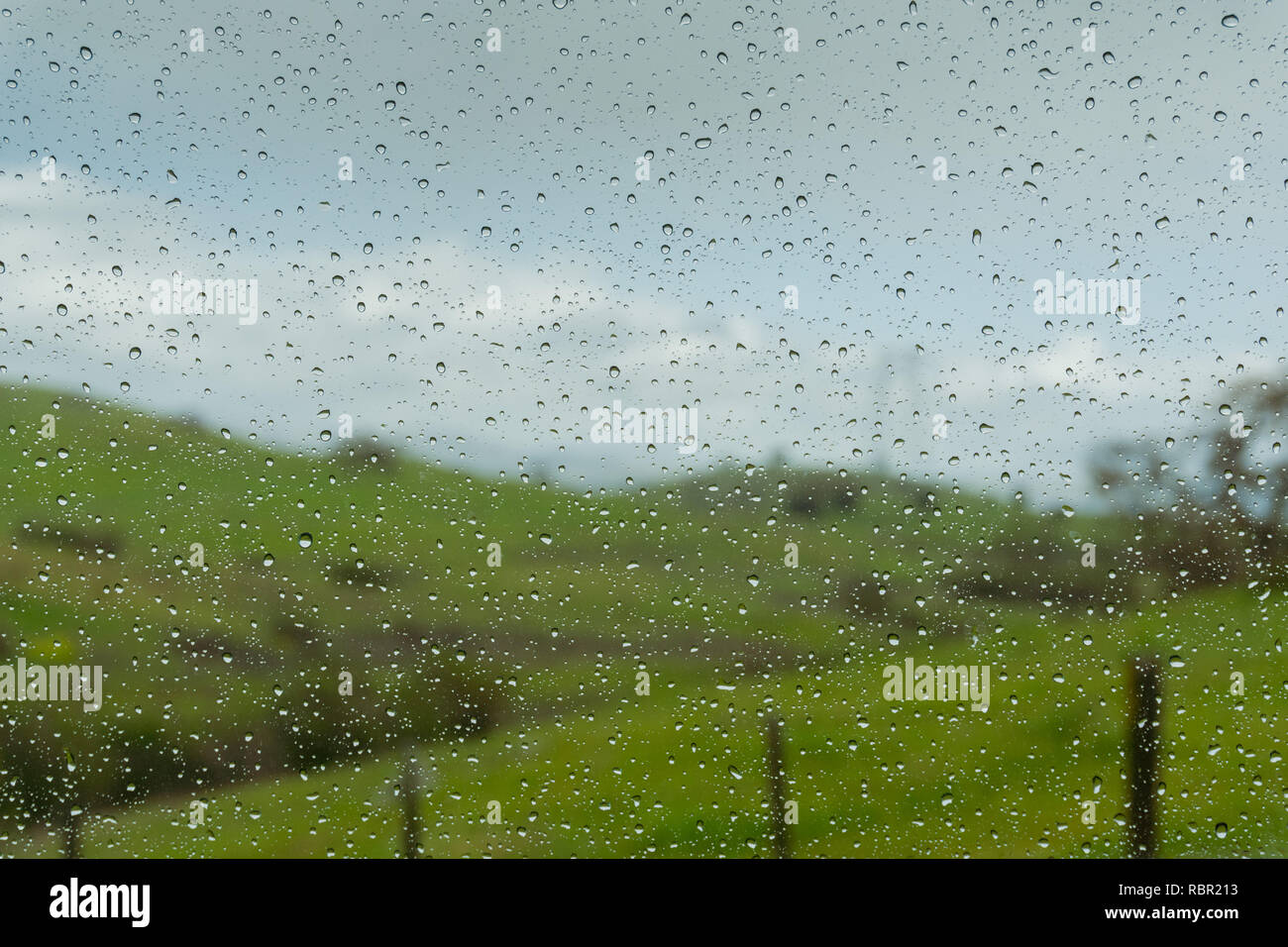 Gouttes de pluie sur la fenêtre ; troubles de vertes prairies en arrière-plan ; profondeur de champ Banque D'Images