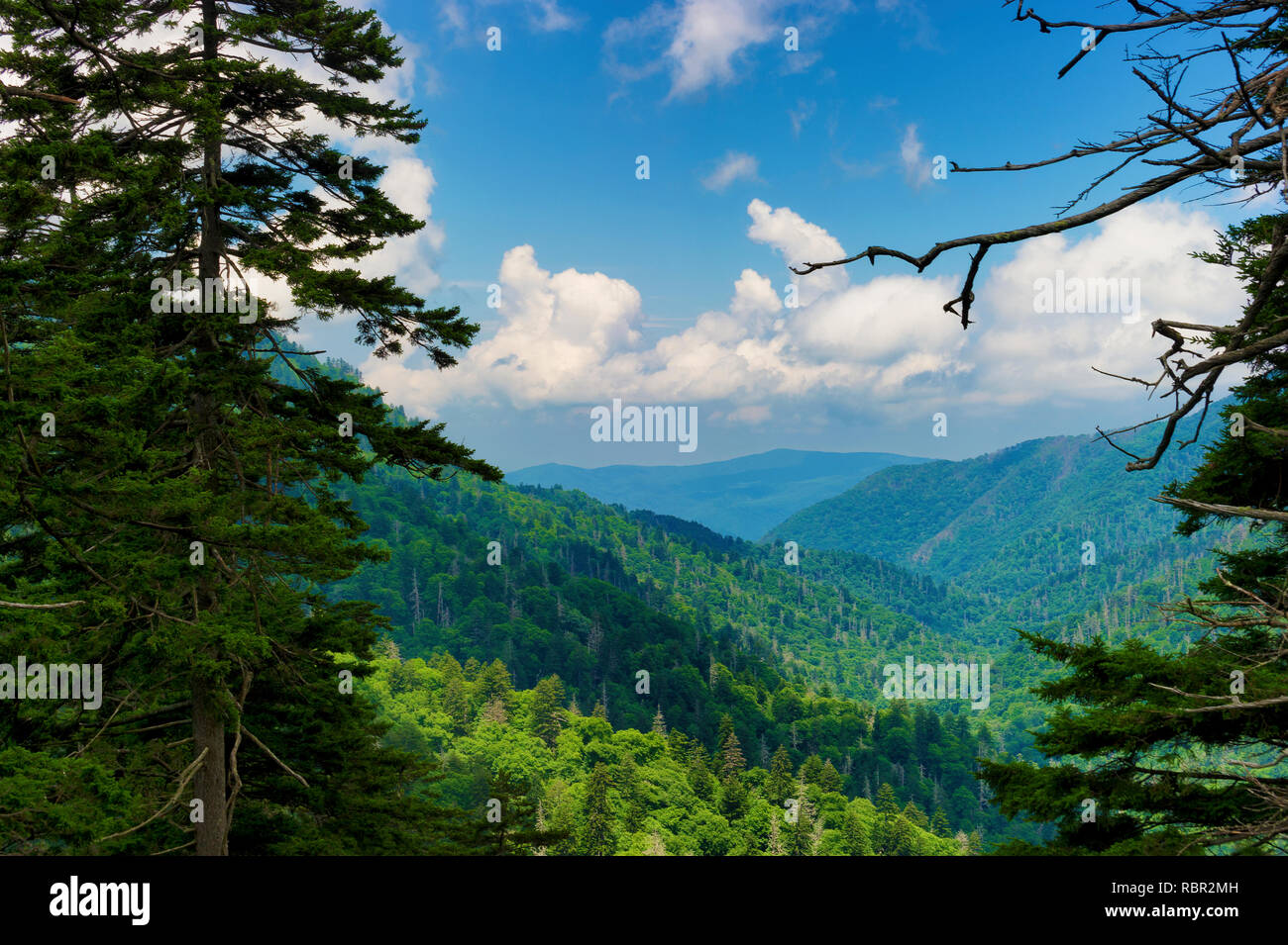 Summertime vista sur les Great Smoky Mountains près de Gatlinburg, Tennessee Banque D'Images