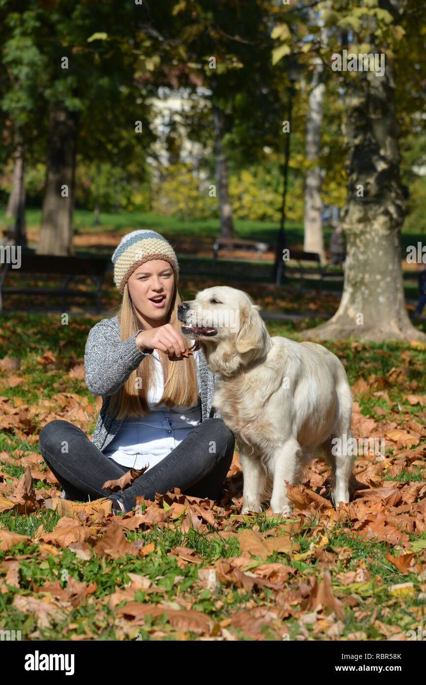 Jeune, belle fille assise dans un parc, holding autumn leaves et jouer avec golden retriever dog, orientation verticale Banque D'Images