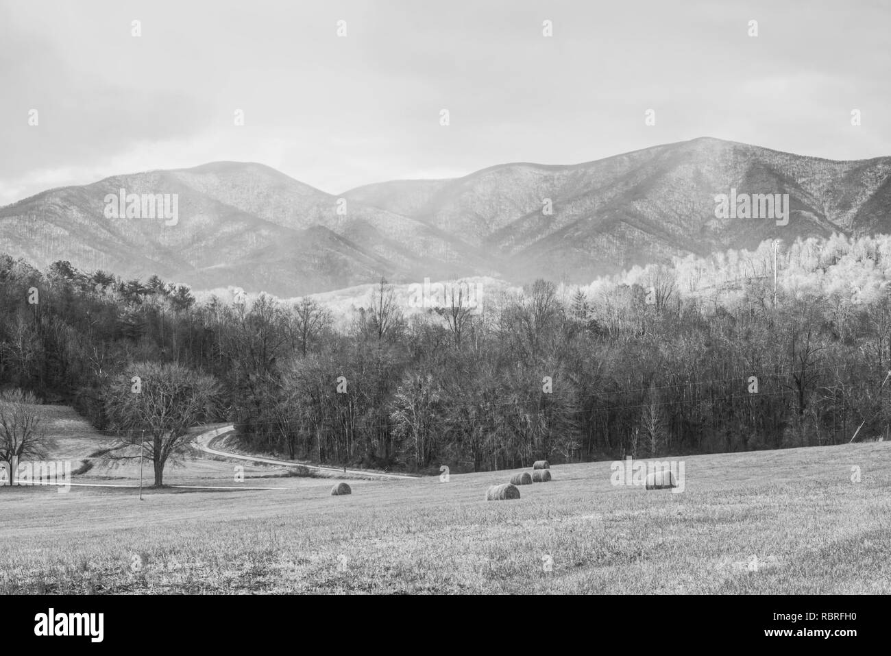 Les pics des Appalaches robuste derrière hay field en noir et blanc Banque D'Images
