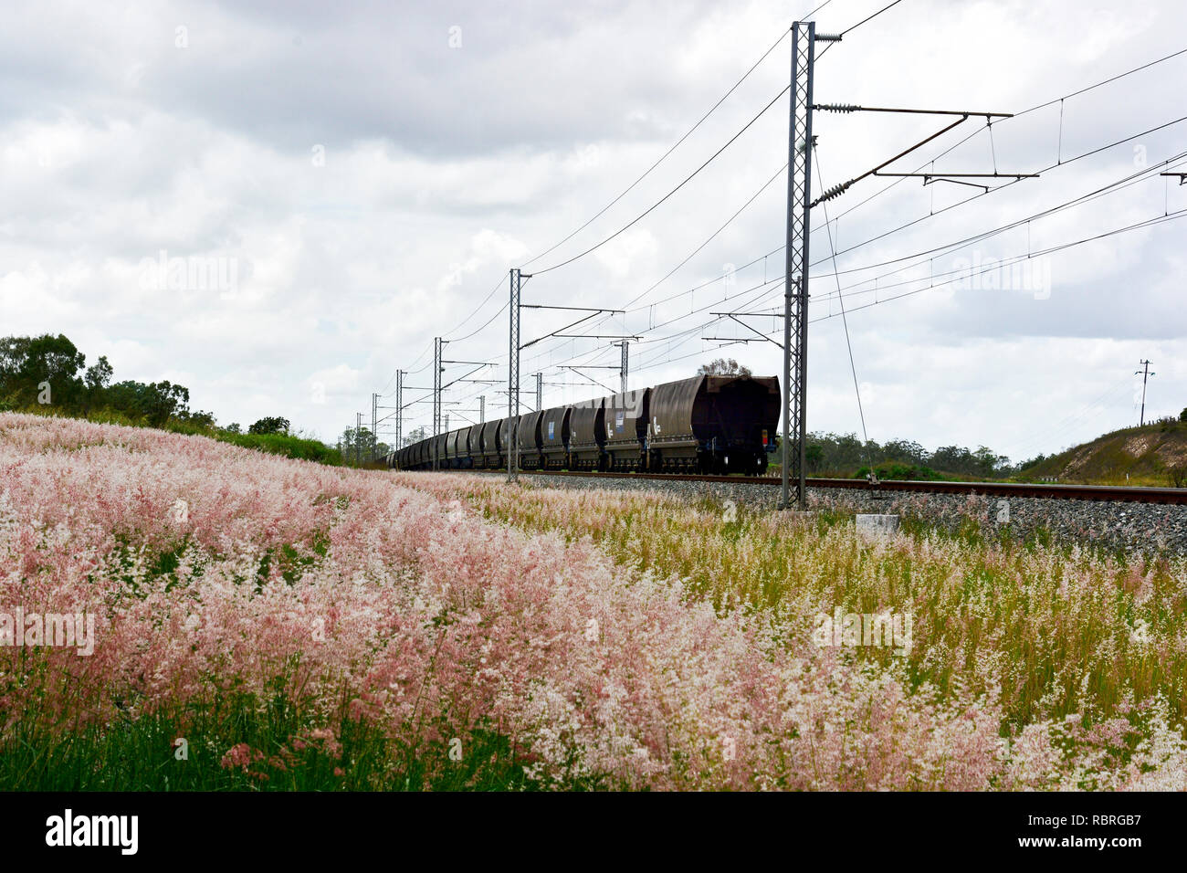 TRAIN DE CHARBON DU QUEENSLAND QUI TRANSITENT PAR PAYS Banque D'Images