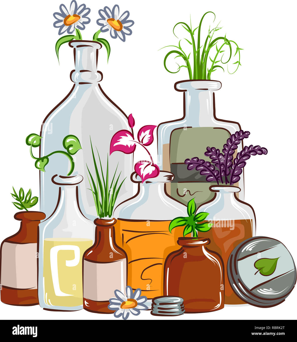 Illustration des différents types de plantes médicinales à l'intérieur de plus en plus de bouteilles. Phytothérapie Concept Banque D'Images