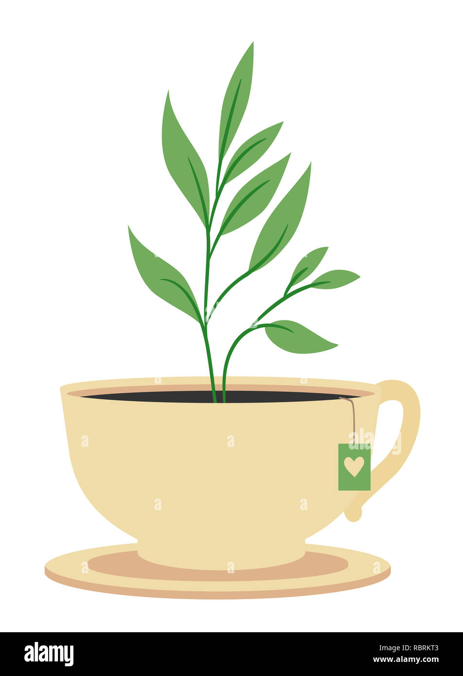 Illustration d'une usine de thé plantés sur une tasse à thé avec soucoupe Bag Banque D'Images
