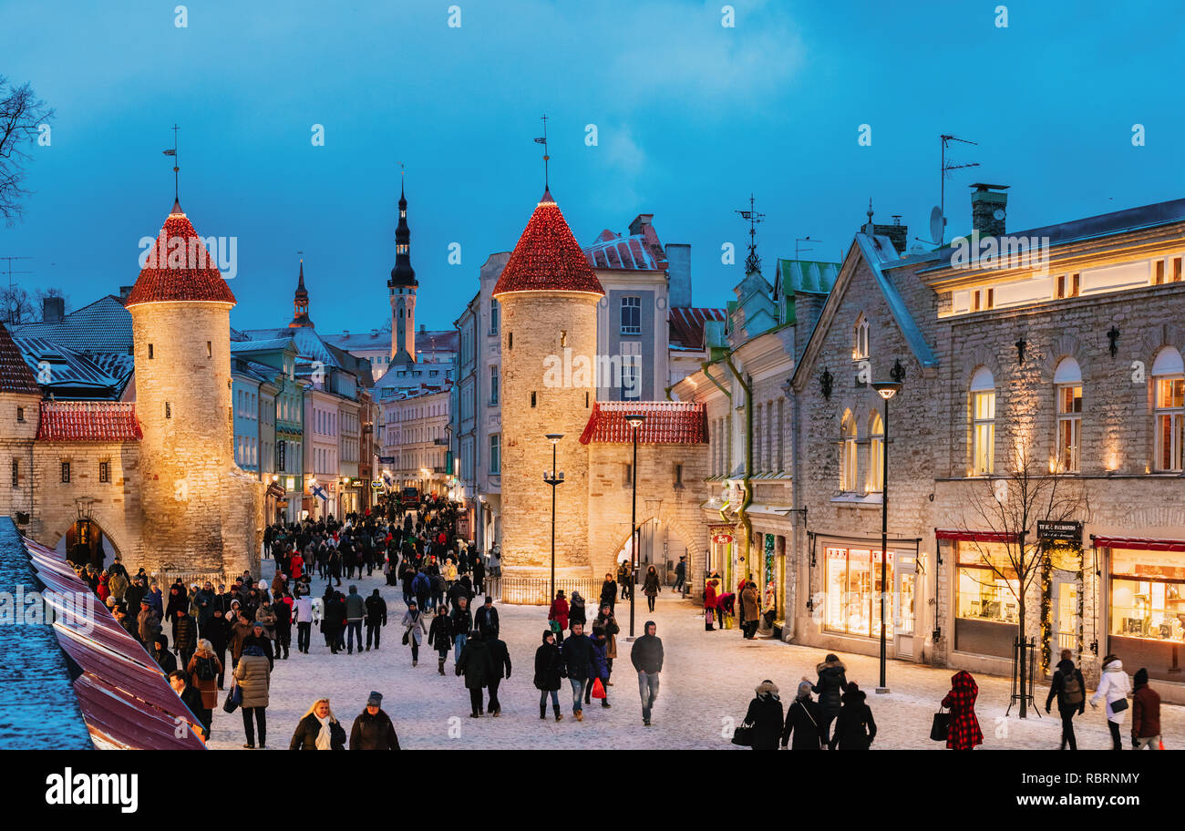 Tallinn, Estonie - 3 décembre 2016 : Les gens autour de célèbre de la Porte Viru dans l'éclairage des rues à l'éclairage du soir ou de nuit. Xma, Noël Banque D'Images