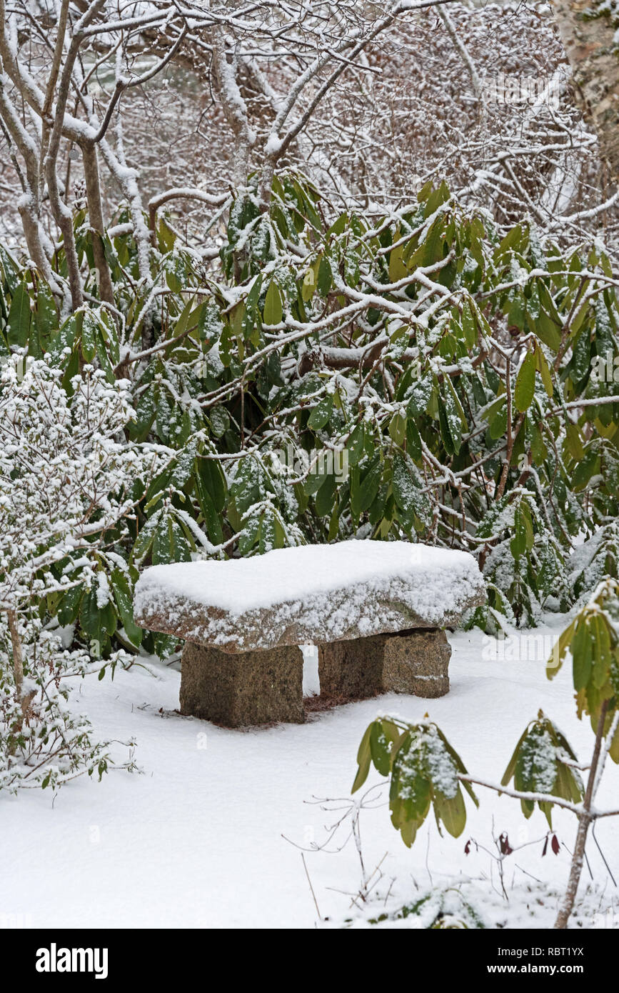 Un banc de neige à l'Azalea Garden, Asticou Northeast Harbor, Maine. Banque D'Images