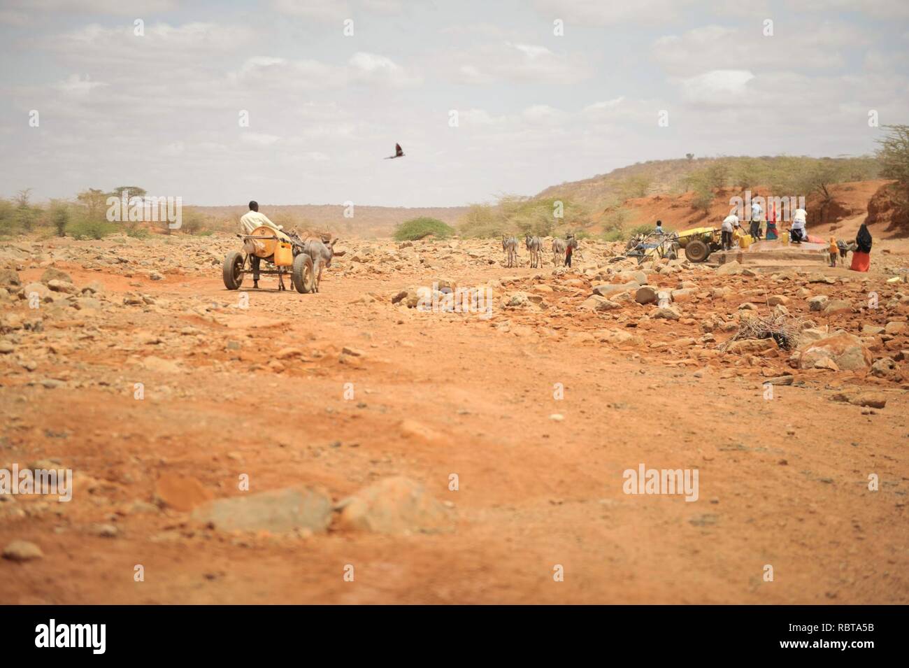 Un homme s'approche d'un bien avec ses ânes pour recueillir l'eau dans Garbahaarey ville dans la région de Gedo en Somalie le 11 août. L'AMISOM Unité Humanitaire aujourd'hui a effectué une évaluation des Garbahaarey (14885123354). Banque D'Images