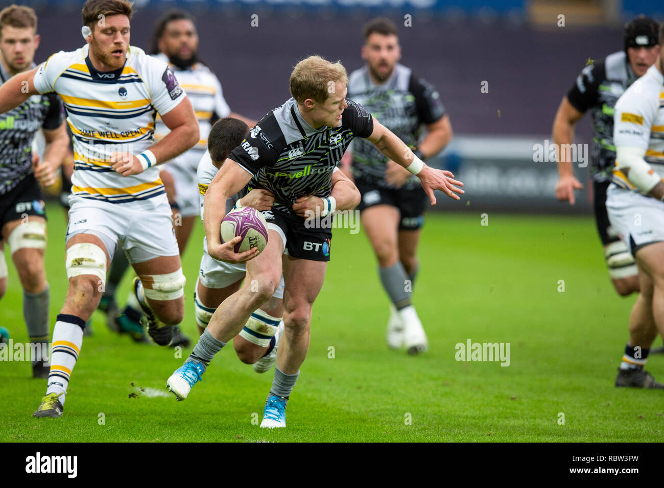 Les balbuzards demi de mêlée Aled Davies a l'air de se décharger dans l'Rugby Challenge Cup match de rugby entre les Ospreys et Worcester Warriors. Banque D'Images