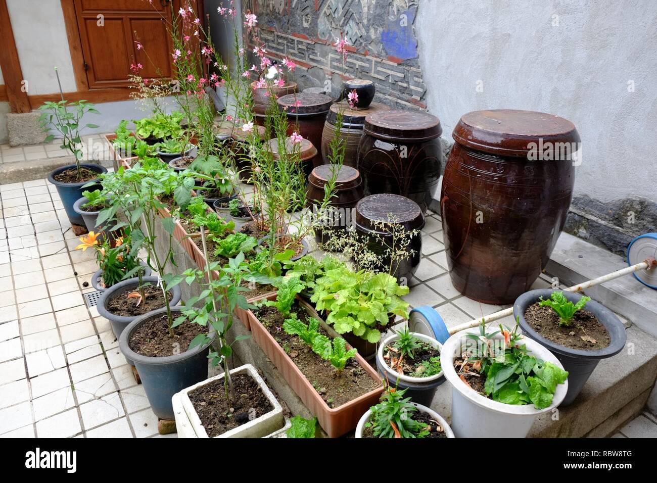 Un jardin dans la chambre de Lee Sang-beom. Banque D'Images