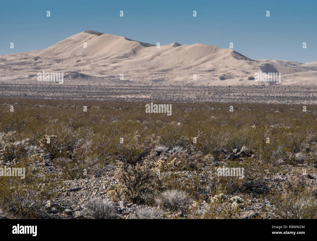 Dunes de Kelso, Mojave National Reserve, Californie Banque D'Images