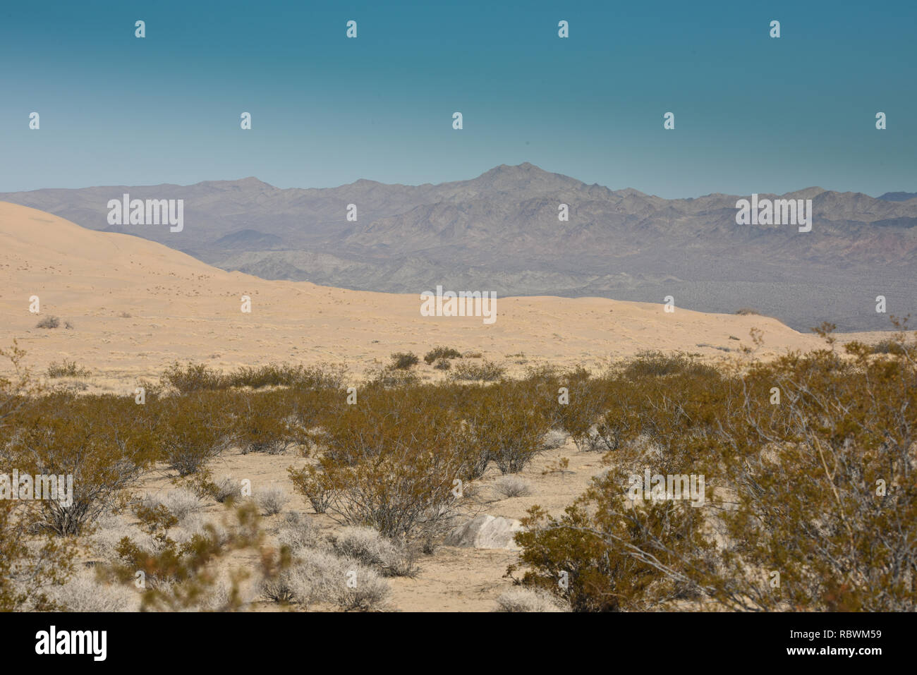 Dunes de Kelso, Mojave National Reserve, Californie Banque D'Images