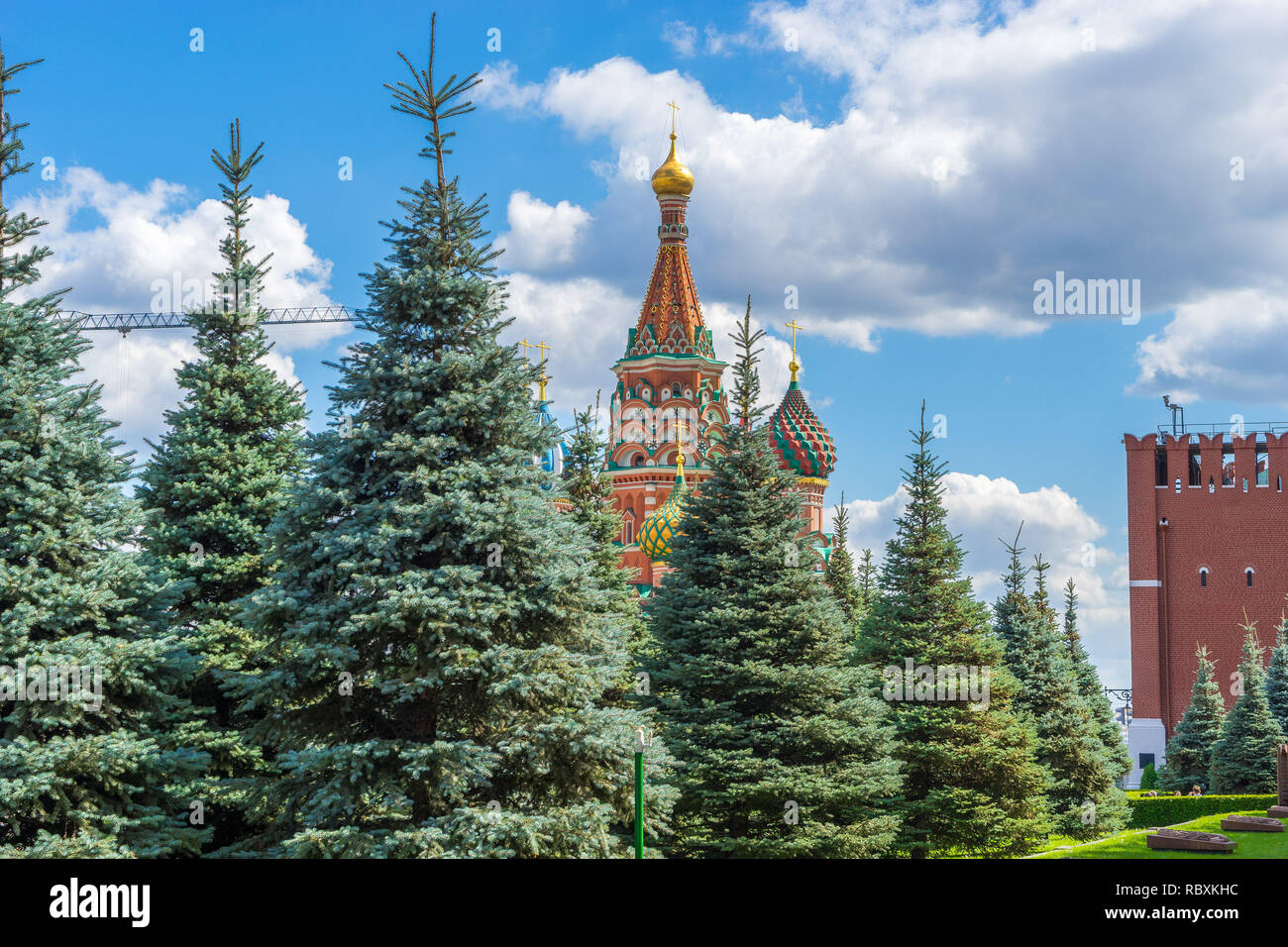 Les conifères en face du Kremlin, Moscou, Russie Banque D'Images Les conifères en face du Kremlin, Moscou, Russie Banque D'Images