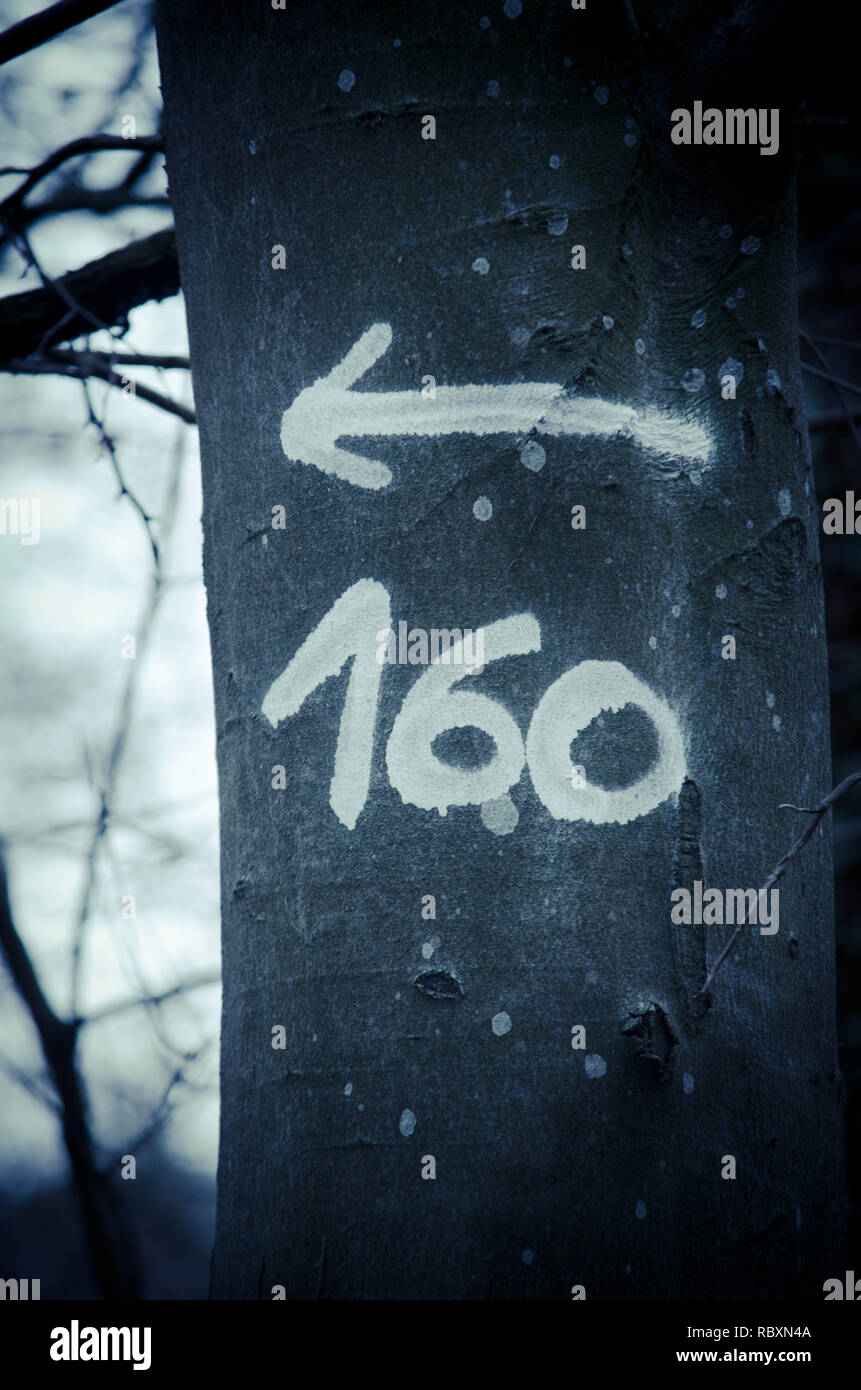 Flèche de direction et le numéro 160 sur une écorce d'arbre Banque D'Images