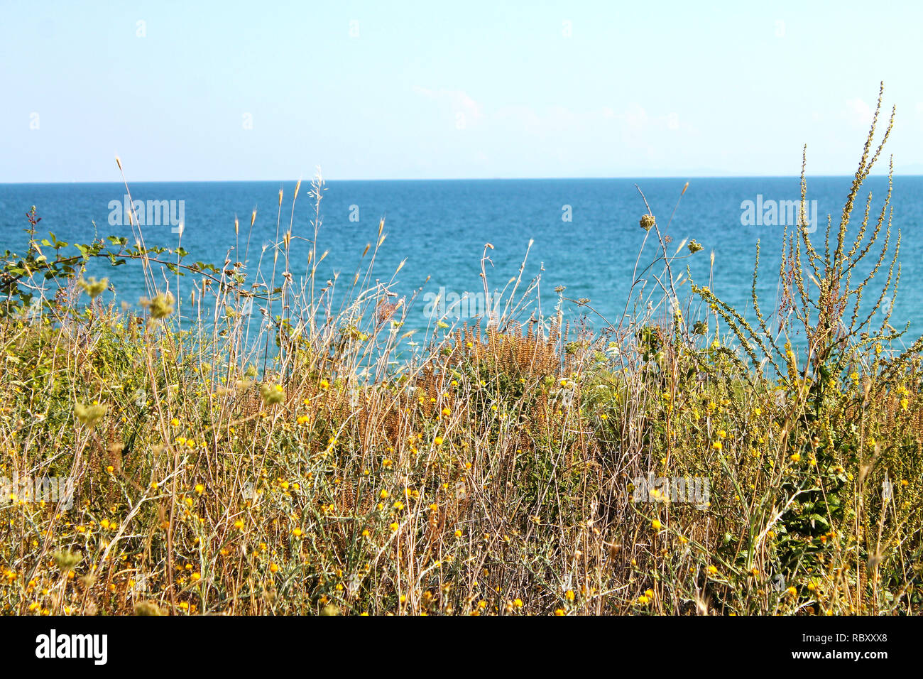 Vue magnifique sur la mer et l'arrière-plan du paysage de prairie (la Bulgarie, la mer Noire). Banque D'Images