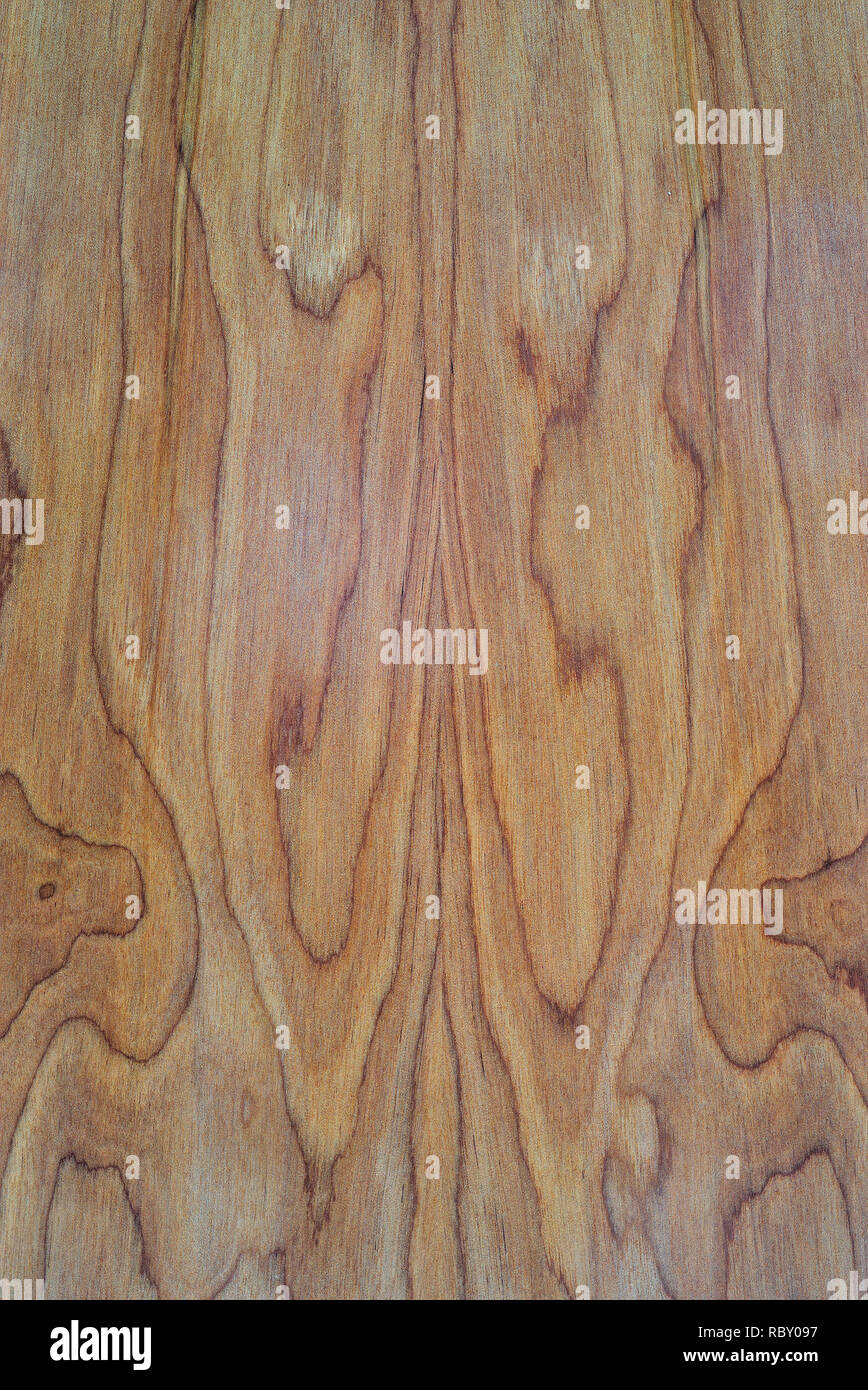 La texture du bois mat côtes, lutherie, guitare back in close up Banque D'Images