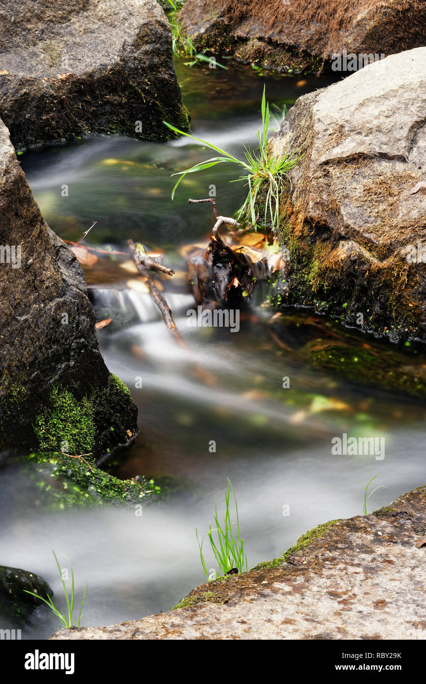 Vue détaillée de l'eau qui coule d'une petite rivière, l'eau coule entre les grosses pierres qui sont partiellement recouverts de mousse et d'herbe, exposition longue durée Banque D'Images