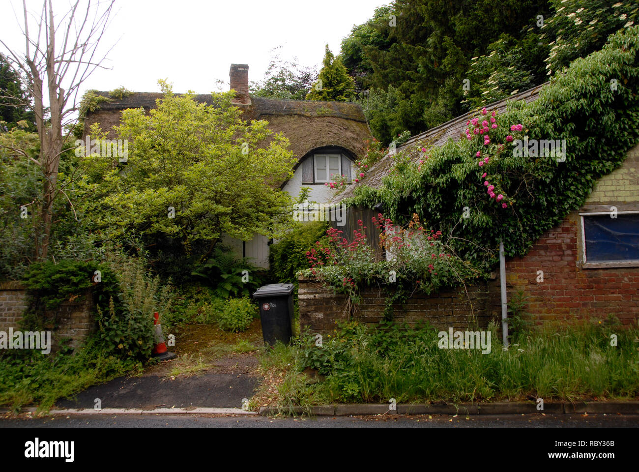 .Thatched cottage avec jardin luxuriant, extrêmement Flitton, Bedfordshire, Angleterre Banque D'Images