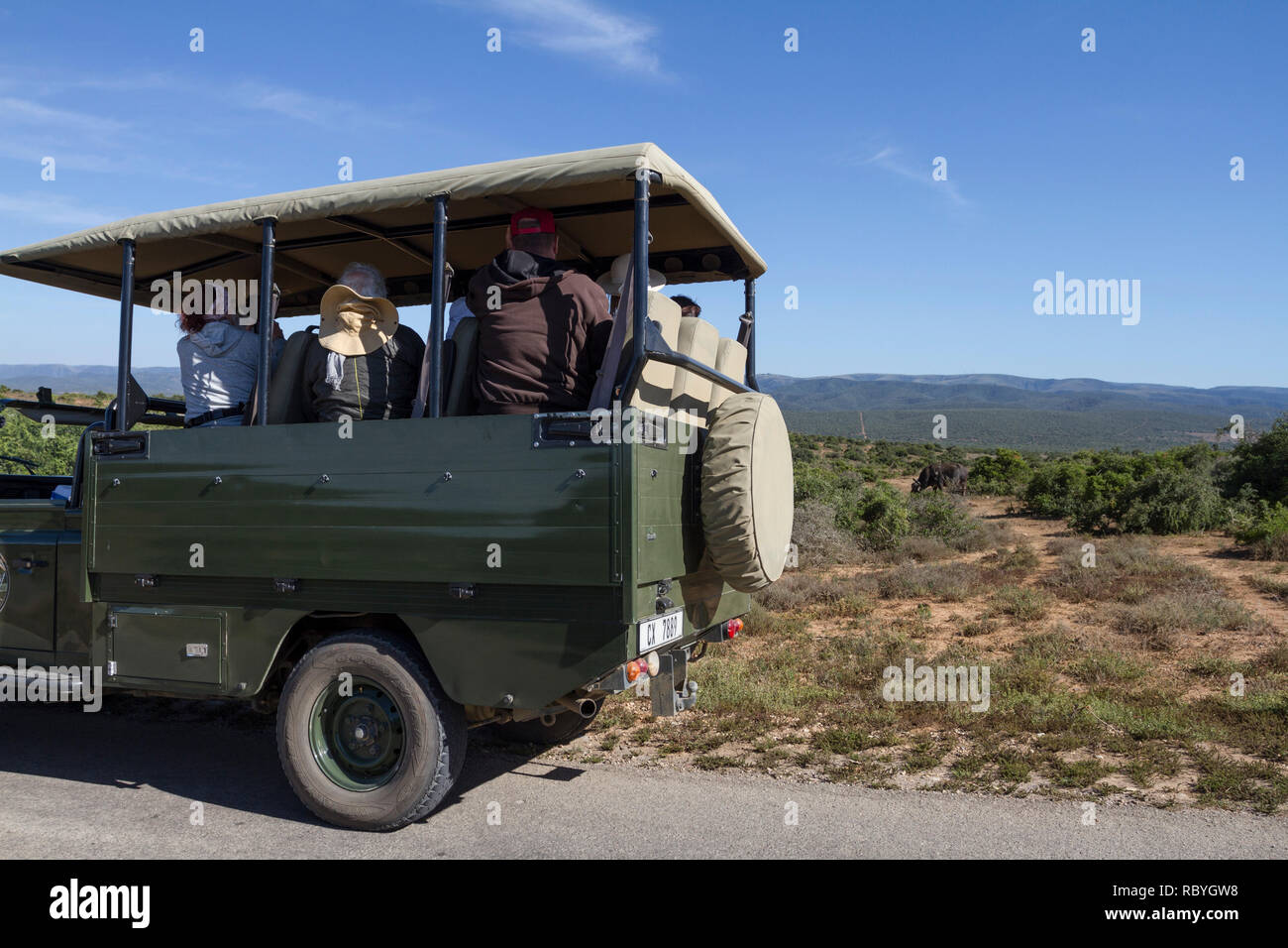 Les touristes sur un jeu dur à Addo Elephant National Park Banque D'Images