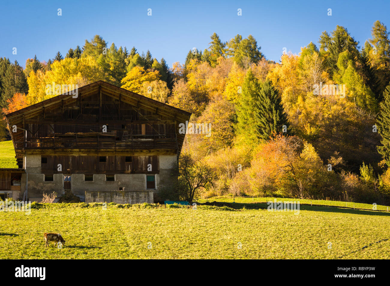 Vue d'automne de la belle vallée de Ultimo (Ultental), Dolomites Tyrol du Sud, Bolzano, Trentin-Haut-Adige, Italie du nord.grange typique de montagne Banque D'Images